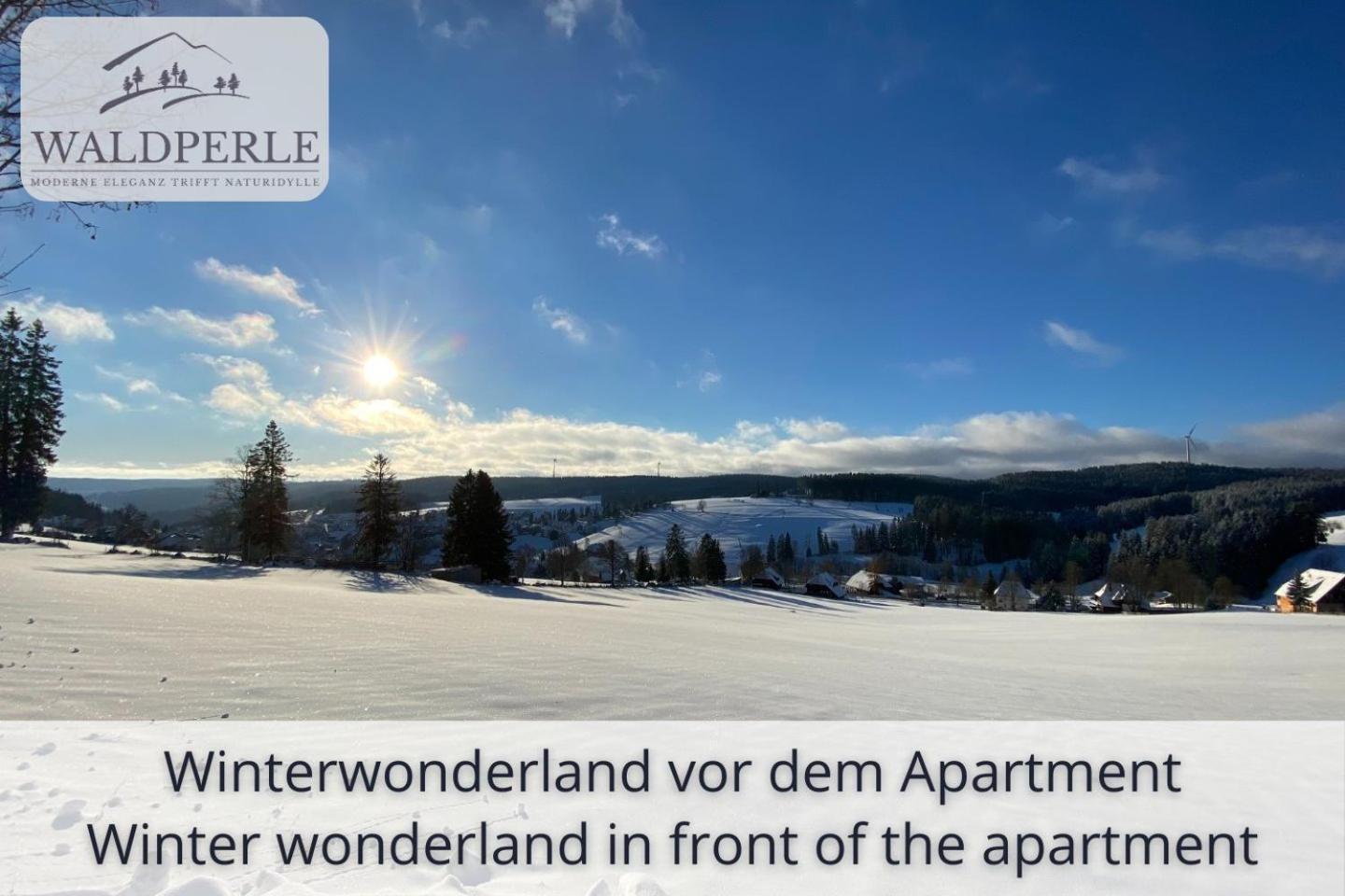 Auszeit Apartment Bellevue: Schwarzwald Panorama with Indoor Pool and Sauna Schonach im Schwarzwald Exterior photo