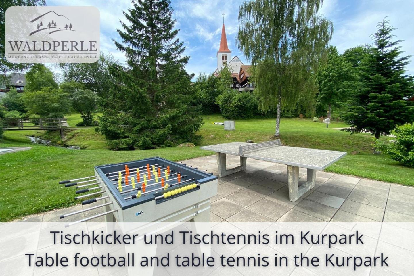 Auszeit Apartment Bellevue: Schwarzwald Panorama with Indoor Pool and Sauna Schonach im Schwarzwald Exterior photo